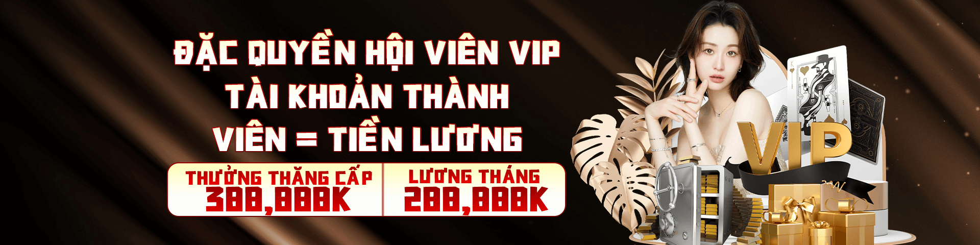 vswin-banner