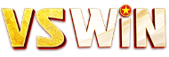 vswin-logo